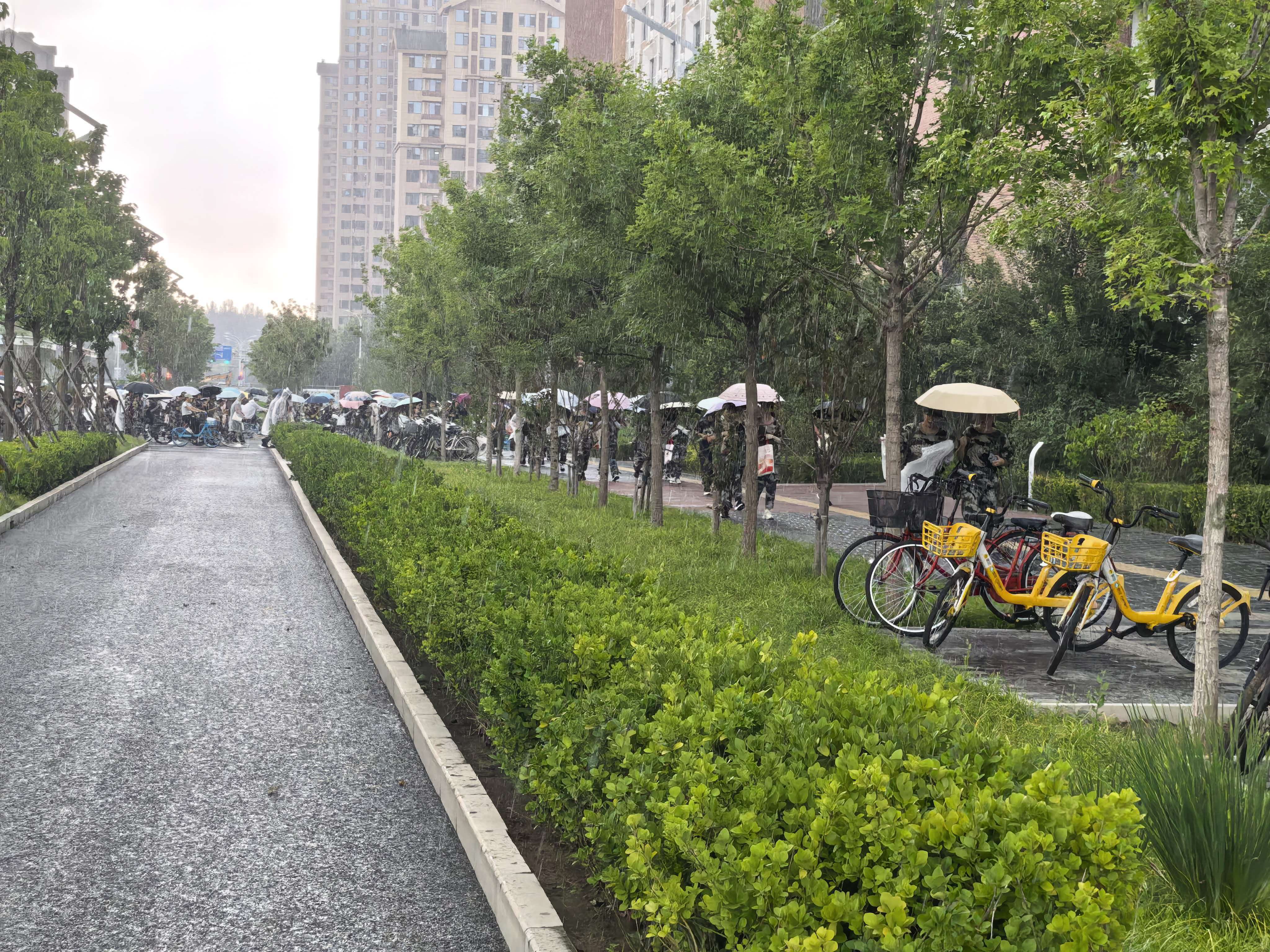 雨中的校园道路